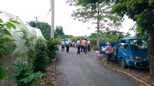 IMAG2716_cr