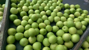 IMAG5089_cr